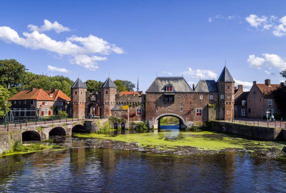 mierenbestrijding-amersfoort