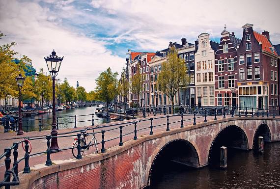 mierenbestrijding-amsterdam