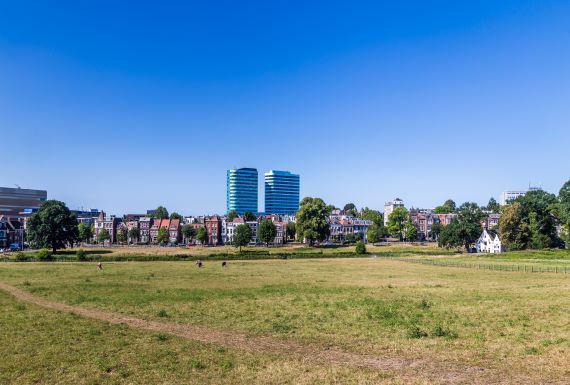 mierenbestrijding-arnhem