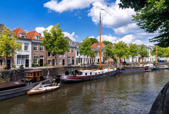 mierenbestrijding-den-bosch