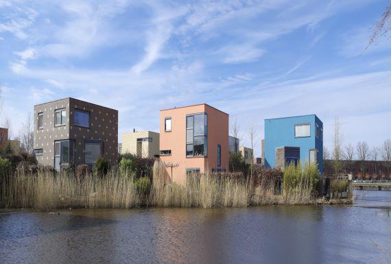mierenbestrijding-enschede