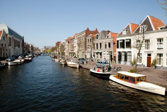 mierenbestrijding-leiden