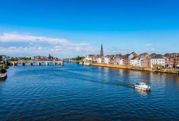 mierenbestrijding-maastricht